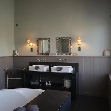 Le Petit Chateau Vaartdijk Bed & Breakfast